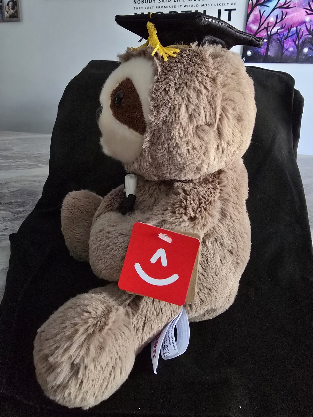 Graduate Sloth - Graduation Celebration! - Picture 2 of 4